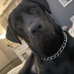 Audrey Doran Worszylo - @doranworszylo - Instagram