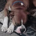 Audrey Erwin-Mullins - @erwinmullins - Instagram