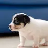 audreyeverett726 - @audreyeverett726 - TikTok