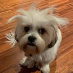 Audrey Gordon - @audigordie - Instagram