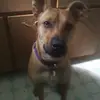 Audrey Gowan - @audrey.gowan - TikTok