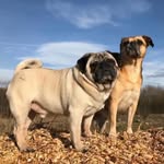 Audrey A Hepburn Grubb - @audrey_hepburn_grubb - Instagram