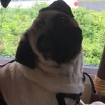 @audrey_anne_grubb - Instagram