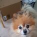 Audrey Grubbs - Facebook