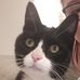 Audrey Hanlon - Facebook