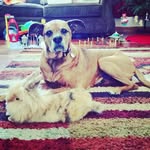 Audrey Hantz - @ahsis24 - Instagram