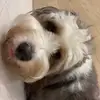 audrey_harborL - @audrey_harbor - TikTok