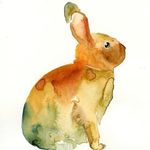 Audrey Hare - @the_sassy_hare - Instagram