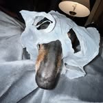 Audrey - @audrey_hartzer - Instagram