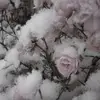 Audrey Hatter - @audrey.hatter - TikTok