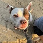 Audrey Havens - @training.soulj - Instagram