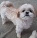 Audrie Herman - Facebook
