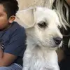 Audrey - @audreyherrera955 - TikTok