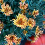 Audrey Herrmann - @naturephotography2257 - Instagram
