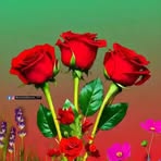 Audrey Herrmann - Facebook