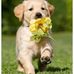 Audrey Herron - Facebook