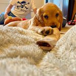 Audrey Greenfield-Higgins - @audrey_the_red - Instagram
