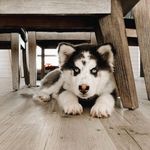 Audrey Higgins - @audrey.higgins.33821189 - Instagram