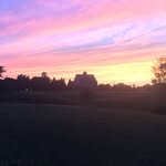 Audrey Higgins - @yourlocalfarmerllc - Instagram