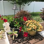 Audrey Higgins Page Quintal - @audrey.quintal - Instagram