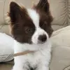 Audrey - @audreyhilbert2 - TikTok