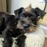 Audrey Hildreth - @freddie_yourneighbor - Instagram