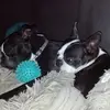 audreyhildreth720 - @audreyhildreth720 - TikTok