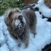 Audrey Howell - Facebook