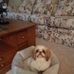 Audrey Howell - Facebook