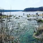 audreyhowell - @audreyhowell319 - Instagram
