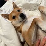 @audrey.kang - Instagram