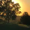 MissThang - @audrey._.kane - TikTok