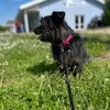 Audrey 💜K🦋 - @audreyko84 - TikTok