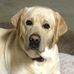 Audrey Krause - Facebook