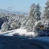 audreykrueger672 - @audreykrueger672 - TikTok