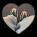 Audrey Lai - Facebook