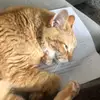 Audrey_L - @audrey_leach - TikTok
