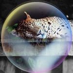 Audrey Le-Vine - @audrey.levine.754 - Instagram