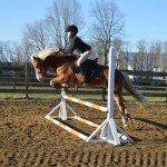 Audrey Levine - @equestrian__baby - Instagram