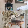 Audrey - @audrey.mangrum - TikTok