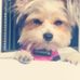 Audrey Maureen Mcfarlane - Facebook