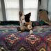 Audrey McLean - Facebook