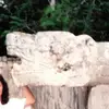 ✨🌛🐯🎶AudreyMorgan♓💦🎸✨ - @audreymorgan741 - TikTok