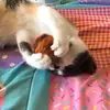 audrey.morin68 - @audreymorin68 - TikTok