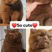 Audery Taguines - Facebook