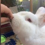 Audrey_Otto - @audrey_otto1 - Instagram