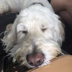 Audrey Paul - @kidserdoc - Instagram