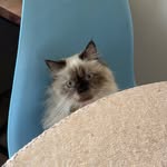 Audrey, sake , and Paul - @audreysake_adventures - Instagram