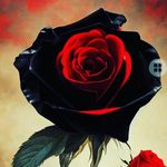Audrey Phipps - @one_sweepa - Instagram