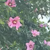 Audrey_power - @audrey_power - TikTok